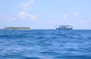 Nach dem Tauchgang warten wir mit der Boje auf das Dhoni
