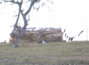 H�tte auf Okuza Island - oder ...