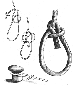 Anleitung f�r den Palstek