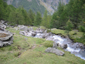 An der Baumgrenze kurz vor Vorderkaser