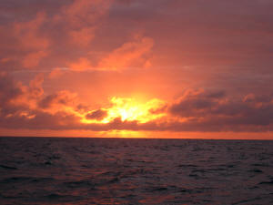Morgenrte